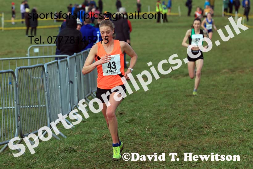 Senior Womens 2024 Northern Cross Country Champs., Sedgefield. Photo: David T. Hewitson/Sports for All Pics